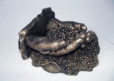Troféu Soja