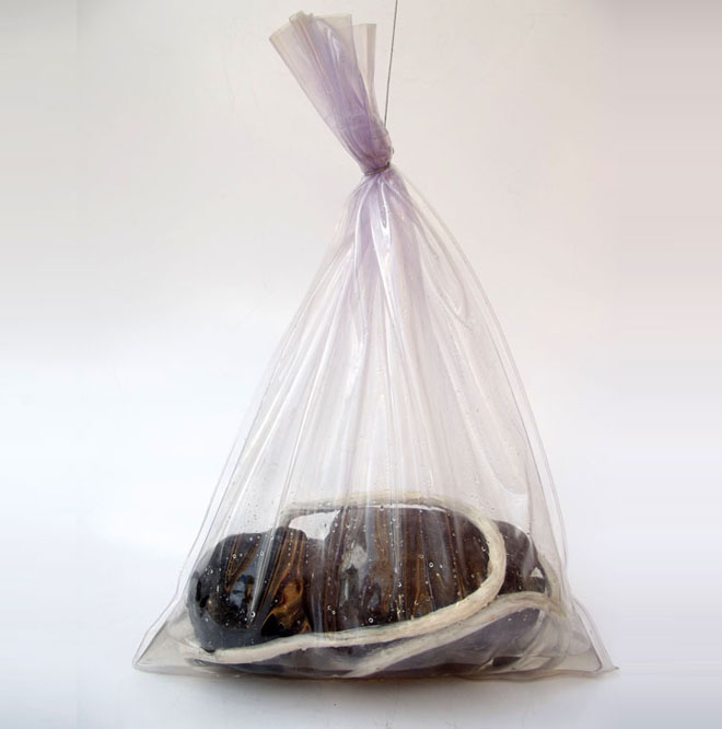 Baby Bag 06