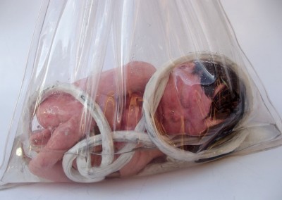 Baby Bag 04